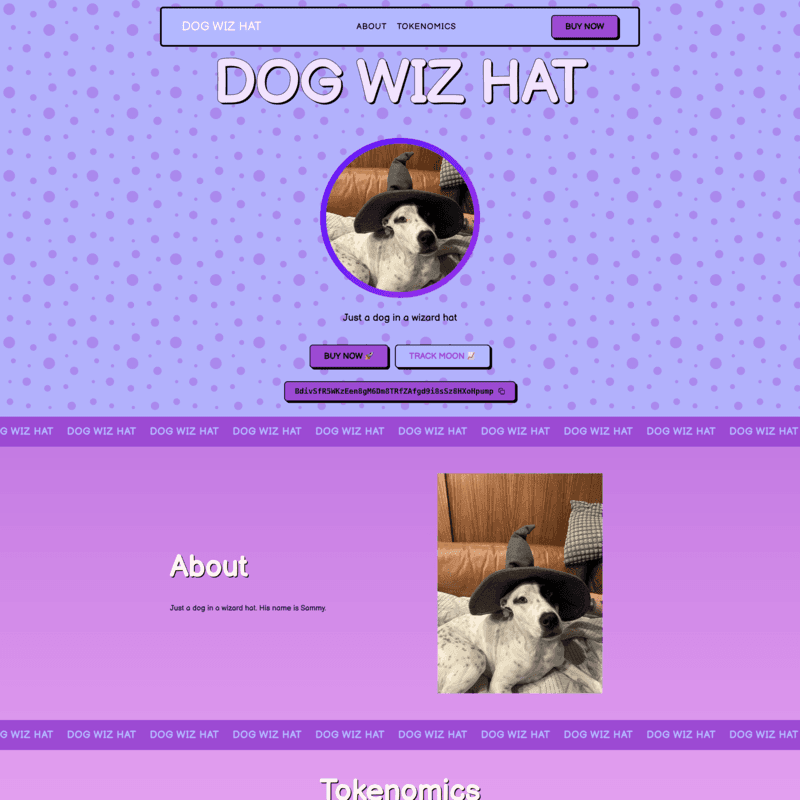 Wizard Doge